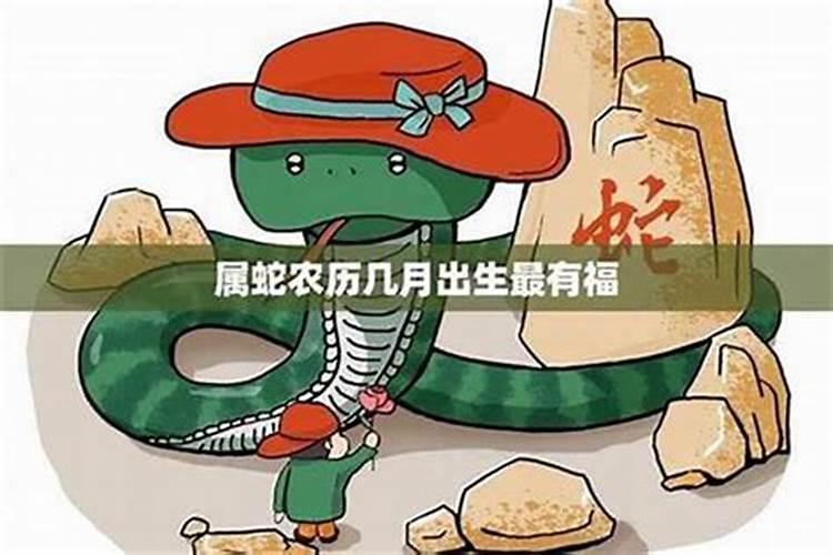 腊月蛇好不好？