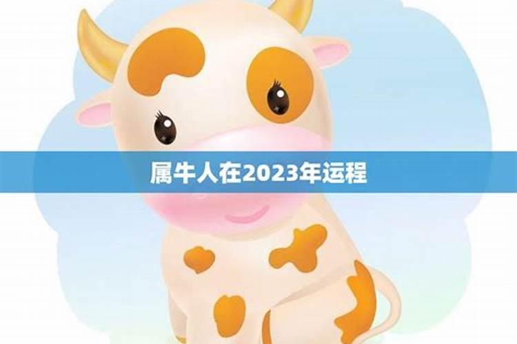 属牛人2026年运程