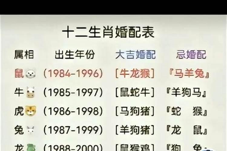 属狗和属蛇八字合吗？