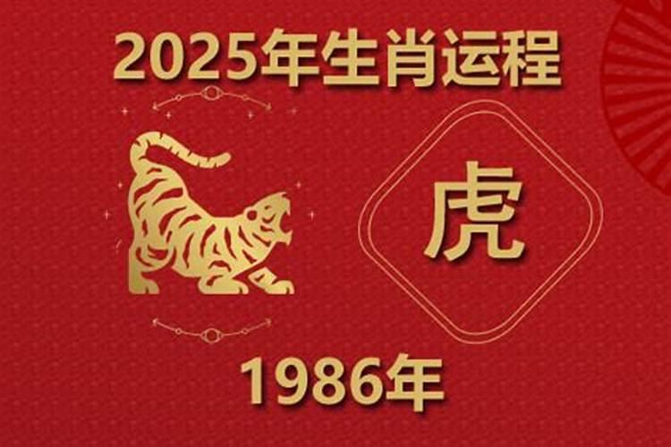 1986年属虎的人一生运程