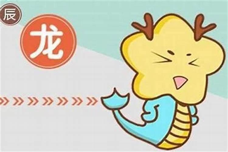 属龙的和属狗八字合吗？