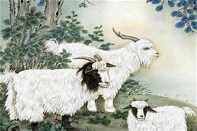 12月份羊2月猴合婚吗？