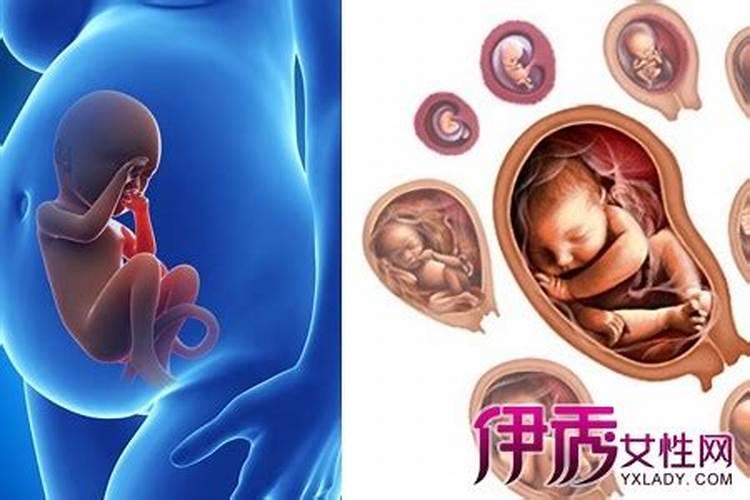 胎儿停育需要做法事吗？