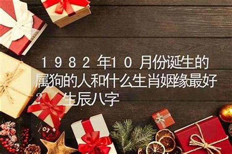属狗的什么生辰八字最好？