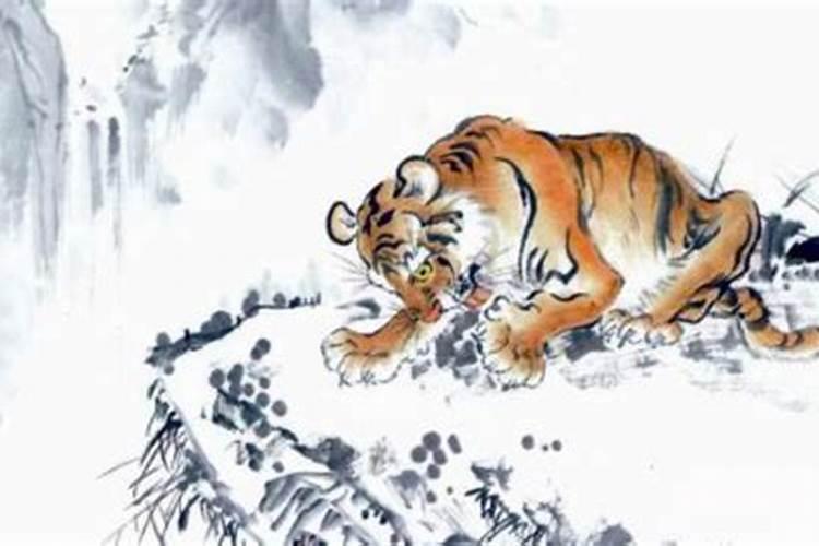 属虎的属相有哪些？