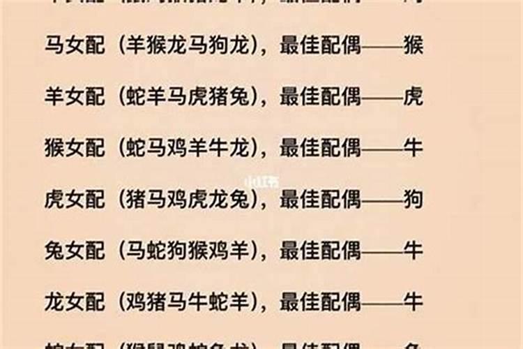 属鼠和什么属相合婚？