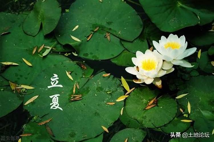 今年的立夏几月几日？