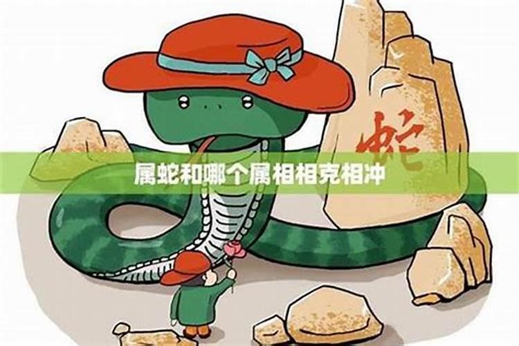 属蛇与猪属相婚配吗？