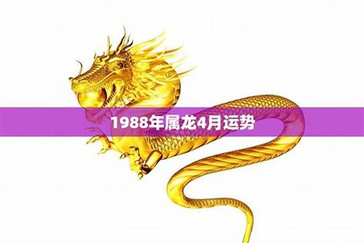 1988年属龙的哪年运势好？
