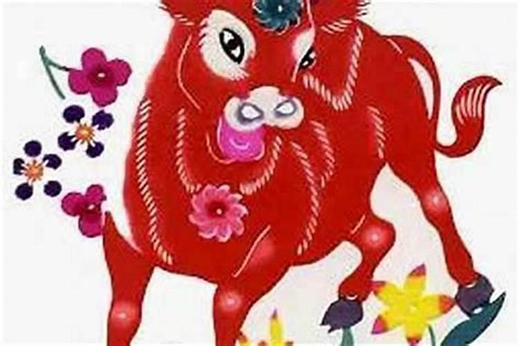 狗与牛的八字合不合