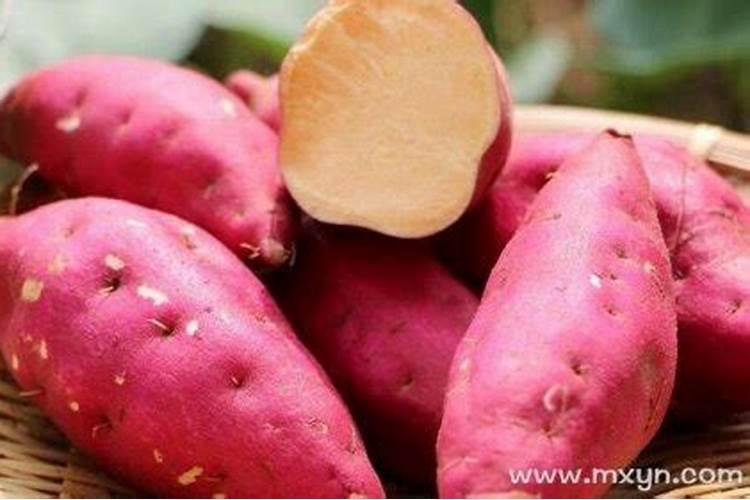 梦见吃红薯干什么意思？