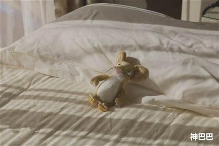 梦到耗子是什么意思？