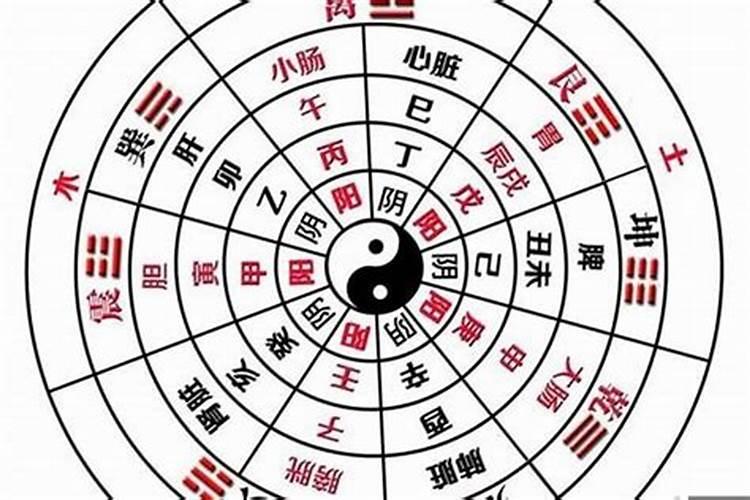 胡歌属什么生辰八字？