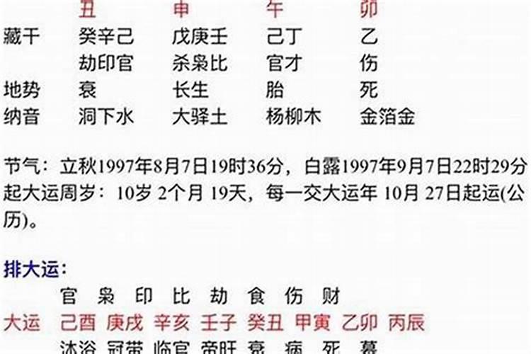 八字专旺格的特征-易用国学
