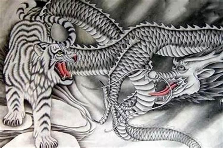 女龙和属虎力男合婚吗？