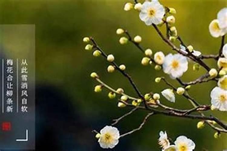 犯太岁什么时候躲春？