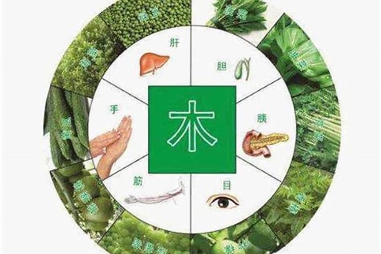 八字缺木水怎样补？