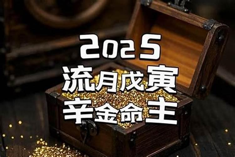 辛金人2026年运程