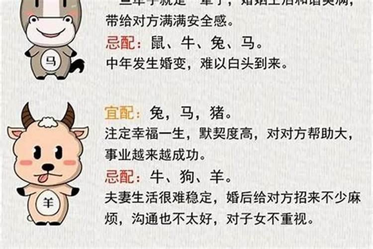 姻缘代表什么生肖？-易用国学