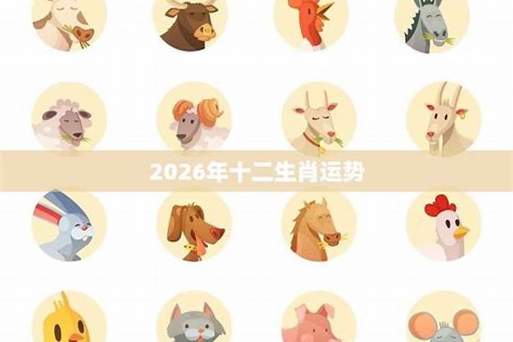 属猪人2026年运势十二生肖