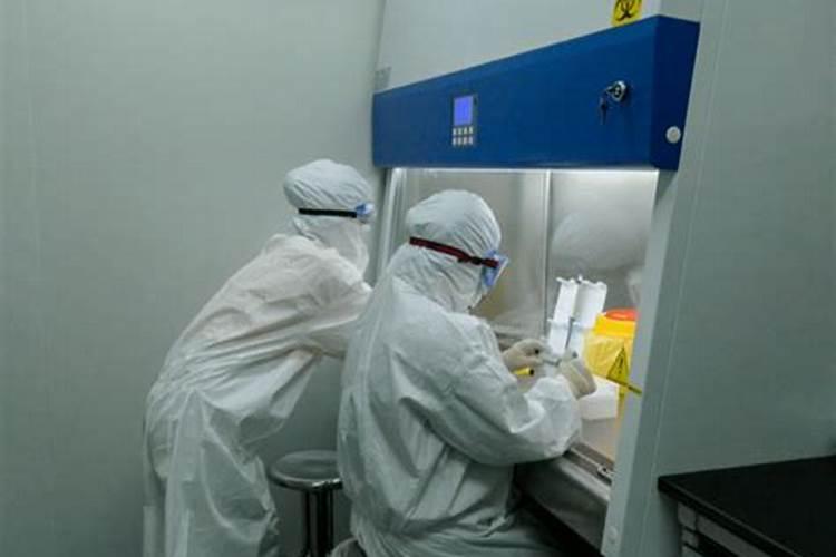 正月初一哪里能做核酸检测？