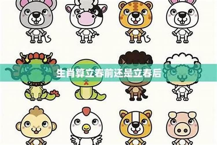 1990年立春之前出生的属啥？
