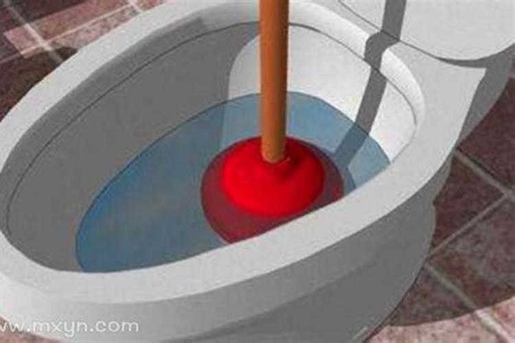 梦见马桶里有鱼冲不掉了