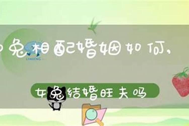兔和牛八字合吗？