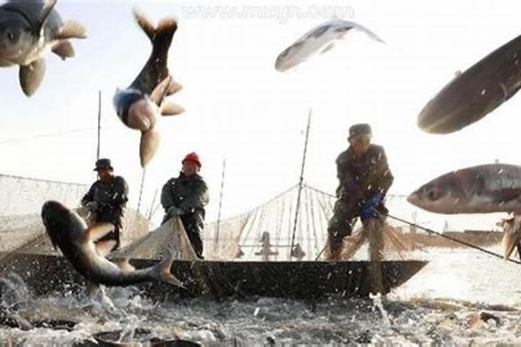 梦见别人在鱼塘捕鱼