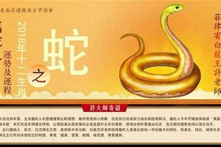 属蛇今年十月的运程