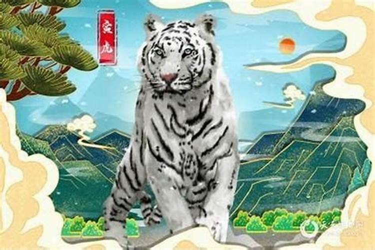 1986年属男虎运势如何？