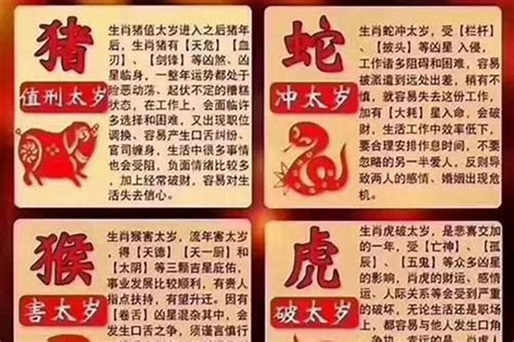 生肖乙亥猪值太岁什么意思？