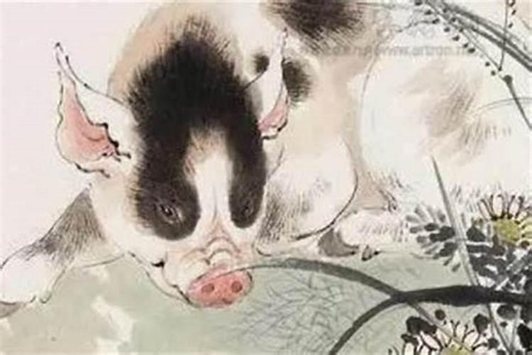 几月生的猪不怕犯太岁？