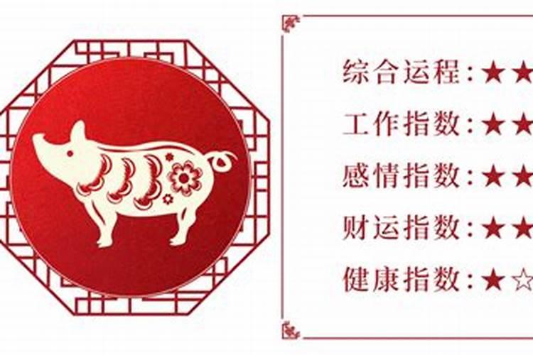 属猪2026年运势董易林