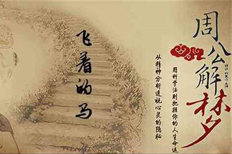 梦见马在天上飞走了