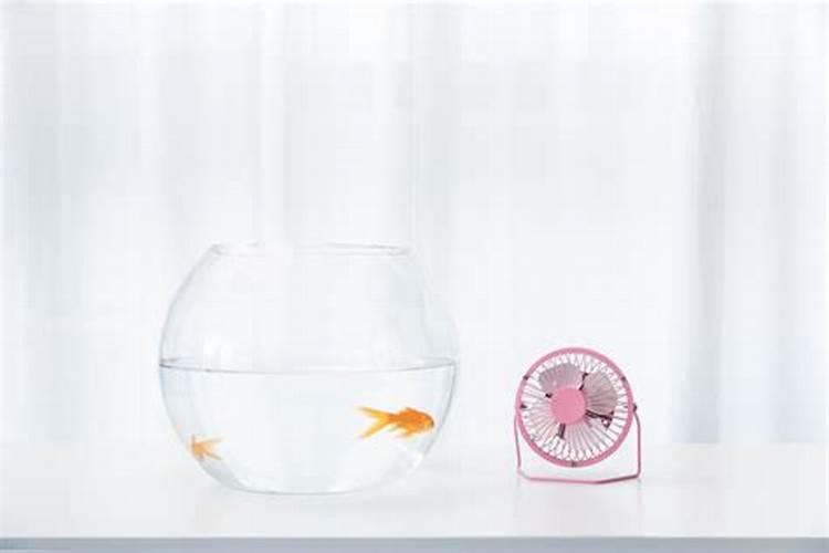 腊月里打碎鱼缸预示什么？