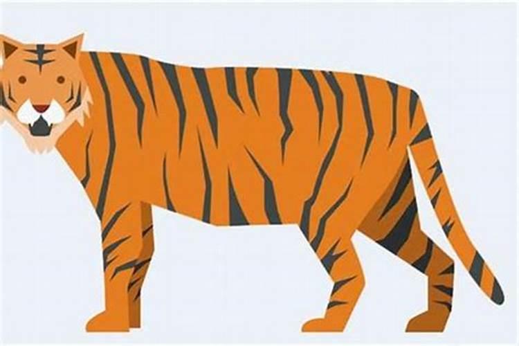 耗子和虎合婚吗？