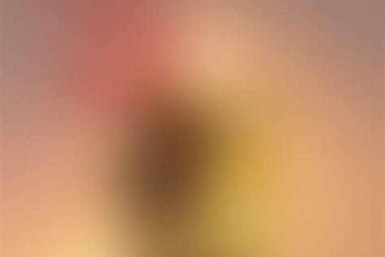 男丁未女辛巳能合婚吗？