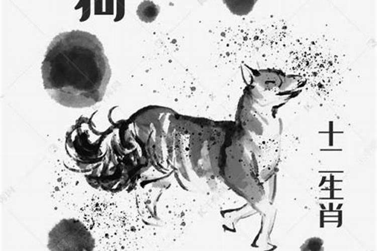 生肖狗男的运势如何？