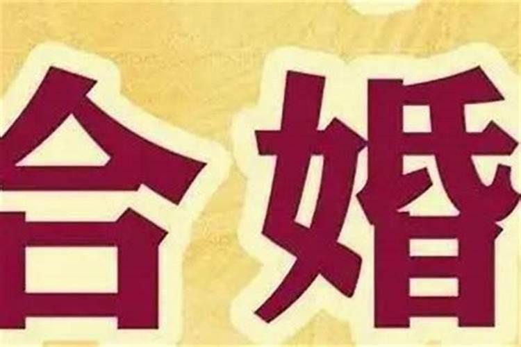 合婚天狗是什么意思？
