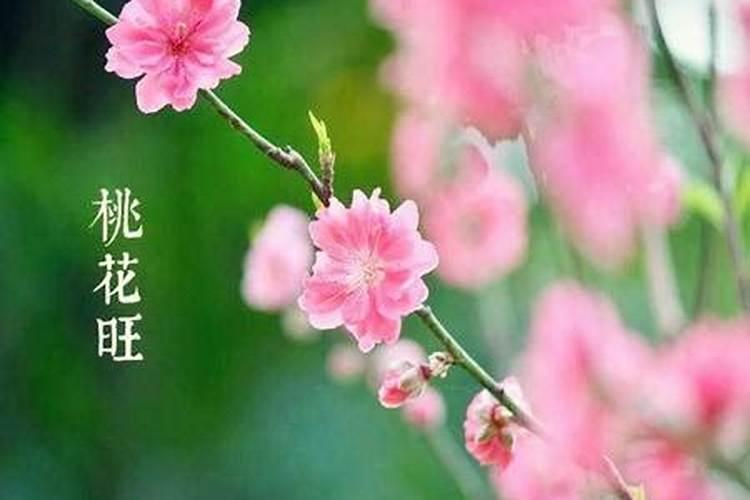 八字解析哪些人天生桃花运最旺？