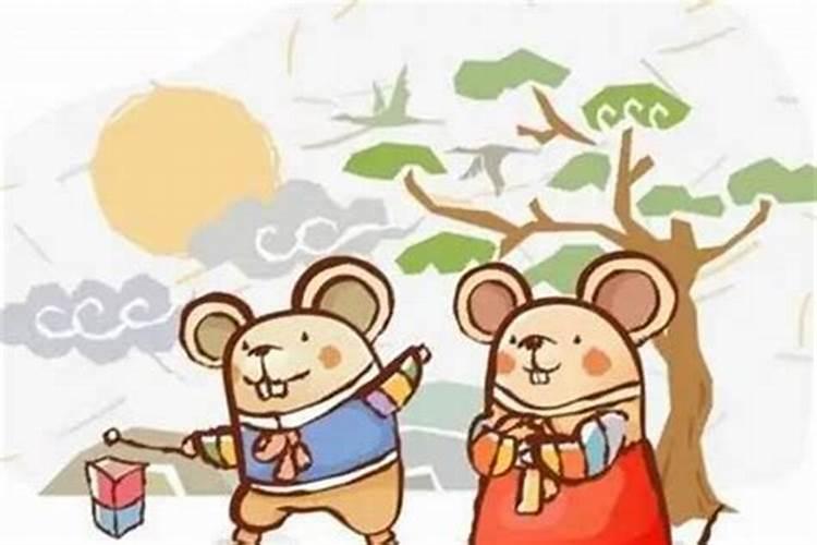 鼠和兔属相是否可以婚配吗？