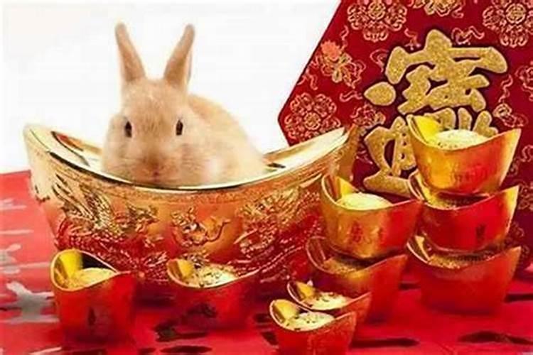 属兔出生月运势如何？