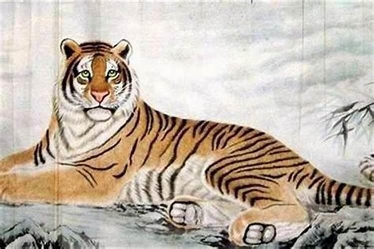 明年虎年本命年运势如何女生？