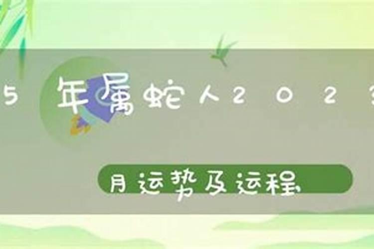 65年属男蛇人2026年运程