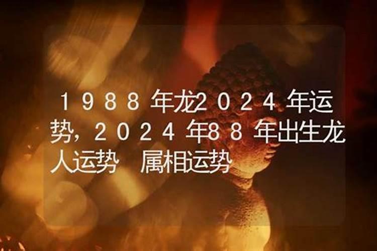 88年出生龙2026运势