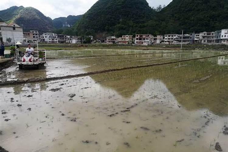 贵州惠水做法事