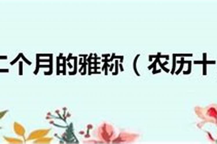 十月初一的雅称哪个最好？