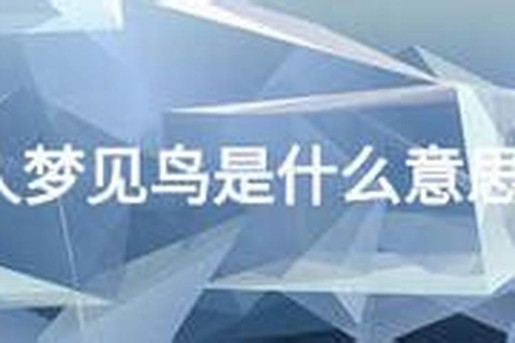 男人梦见鸟是什么意思？