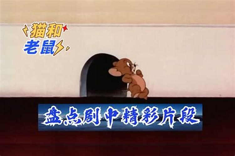 梦见老鼠被赶出家门